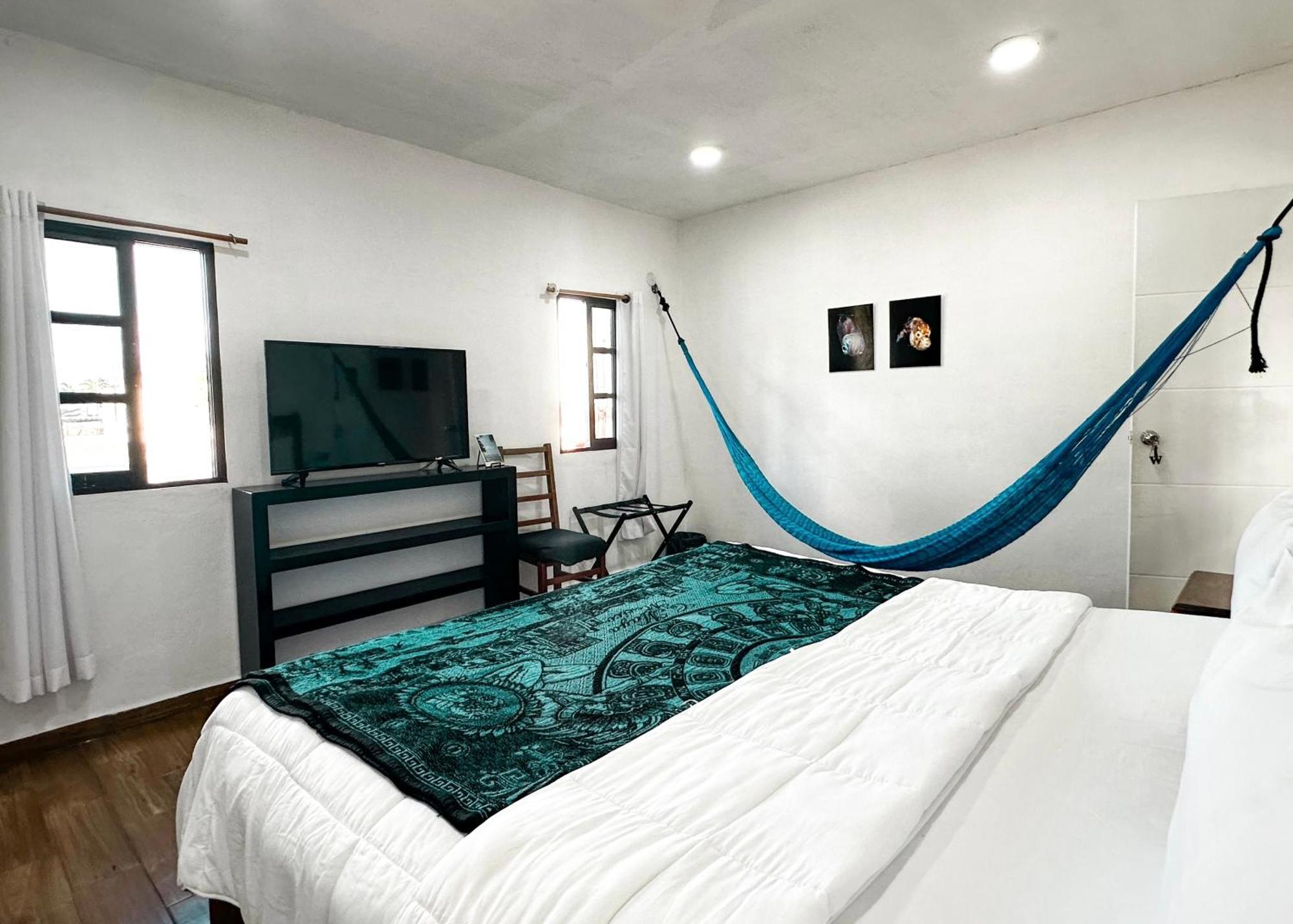 La Perle Noire - Dive Hotel Cozumel Dış mekan fotoğraf